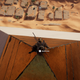 Even this is less fun than it looks. Wait. Thats basically the slogan for these games. “Assasins Creed: IT’s less fun than it looks” You’re welcome Ubisoft.